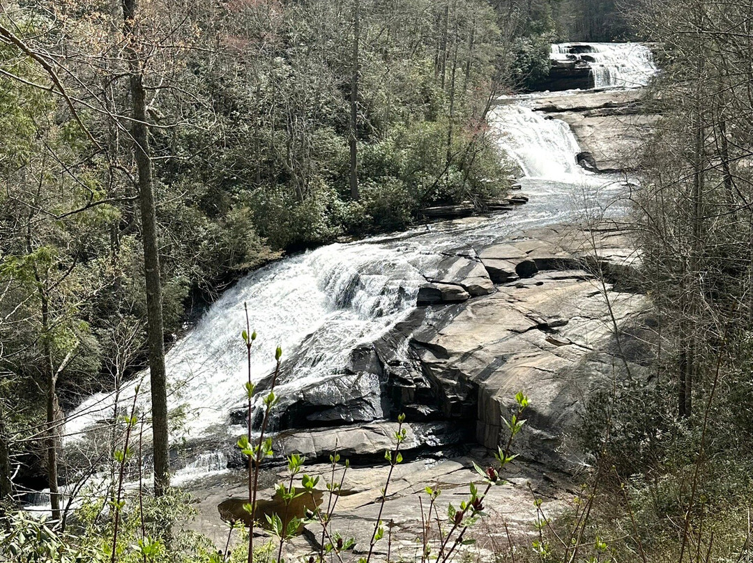 DuPont State Recreational Forest-Cedar Mountain必去景点