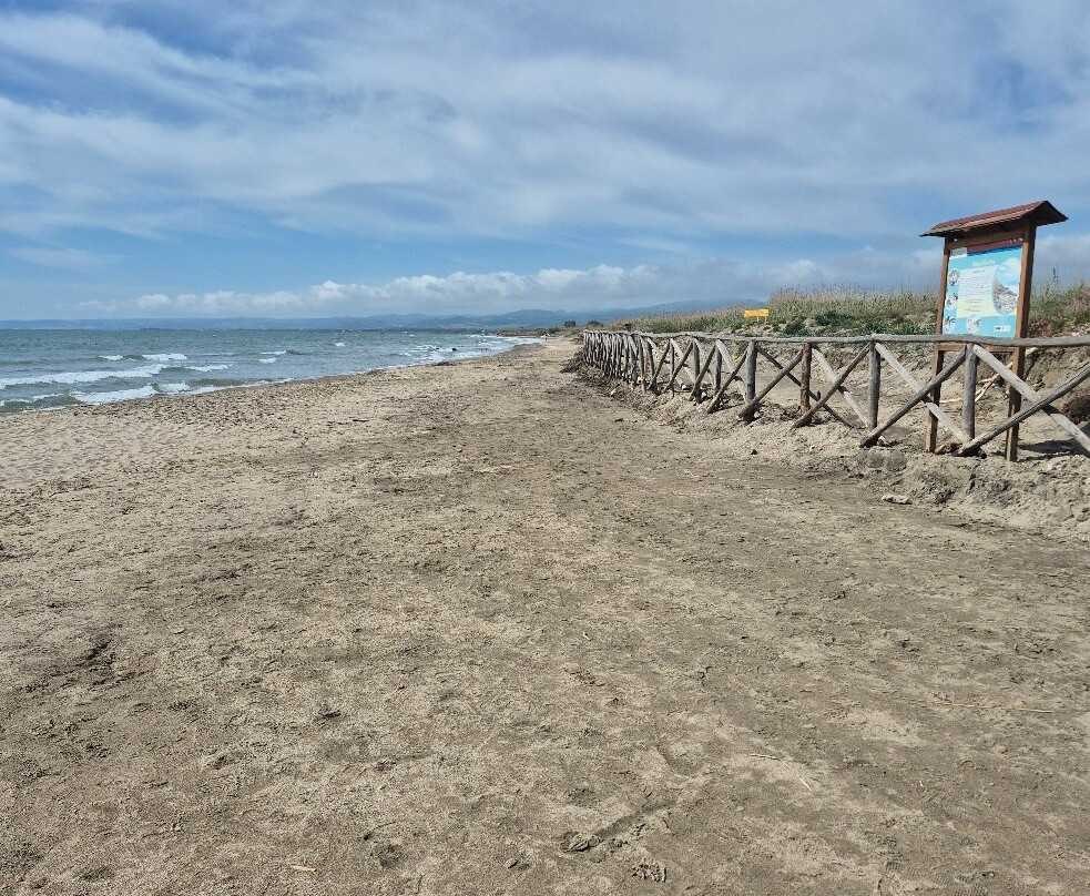 Monumento Naturale Palude di Torre Flavia-拉迪斯波利必去景点