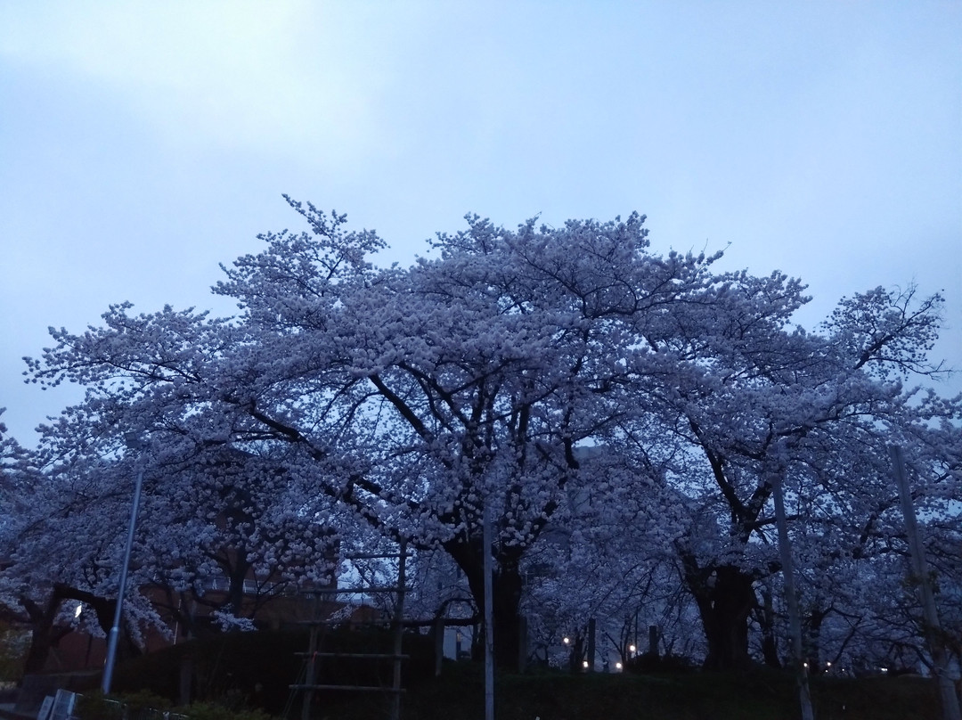 Kaiseiyama Park-郡山市必去景点