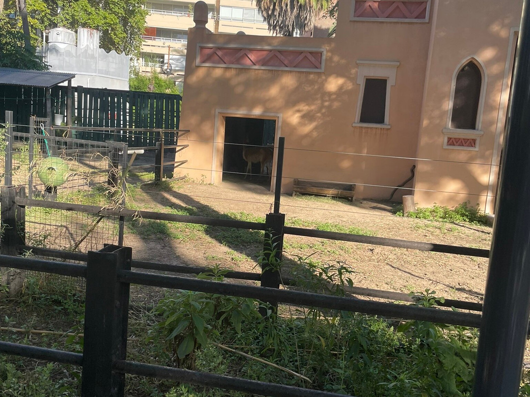 Eco Parque-布宜诺斯艾利斯必去景点