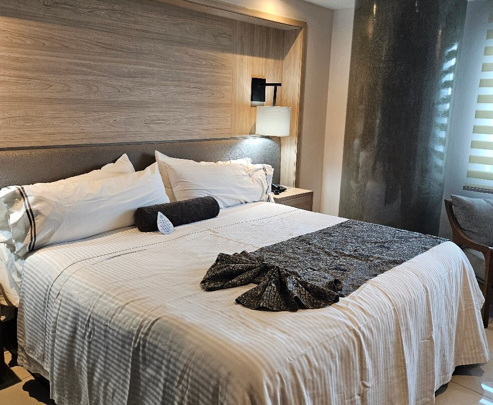 雷亚尔马斯特莱扎酒店主图