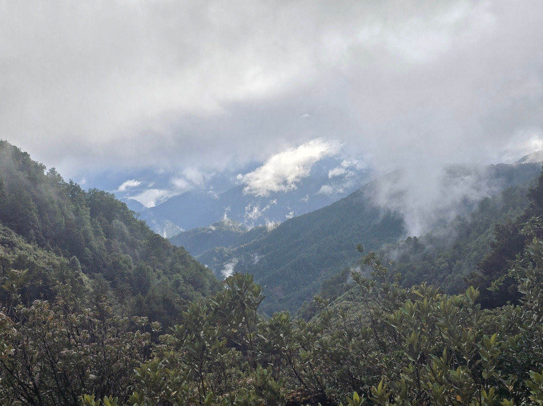The Old Ghost Road-韦斯特波特必去景点