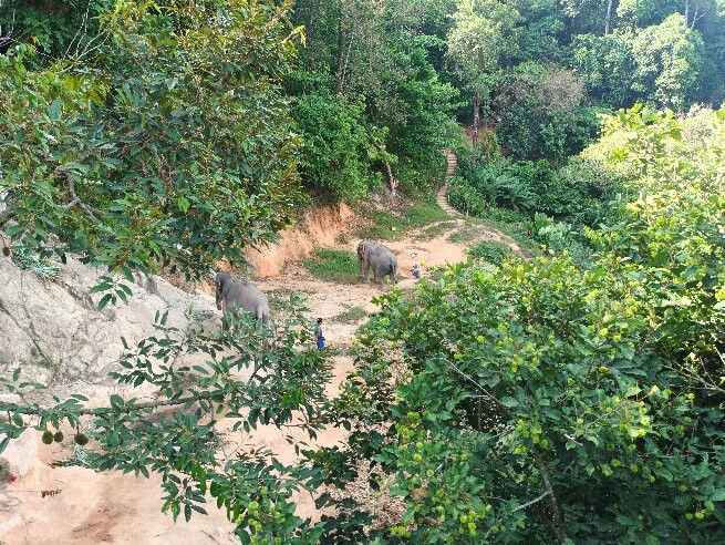 Eco Khao Lak Adventure - Private Day Tours-拉克山必去景点