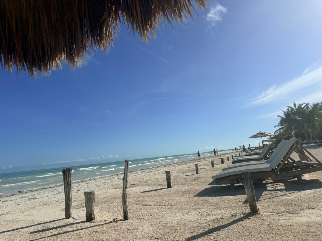 卡萨拉斯托尔图加斯珀蒂海滩酒店及水疗中心主图