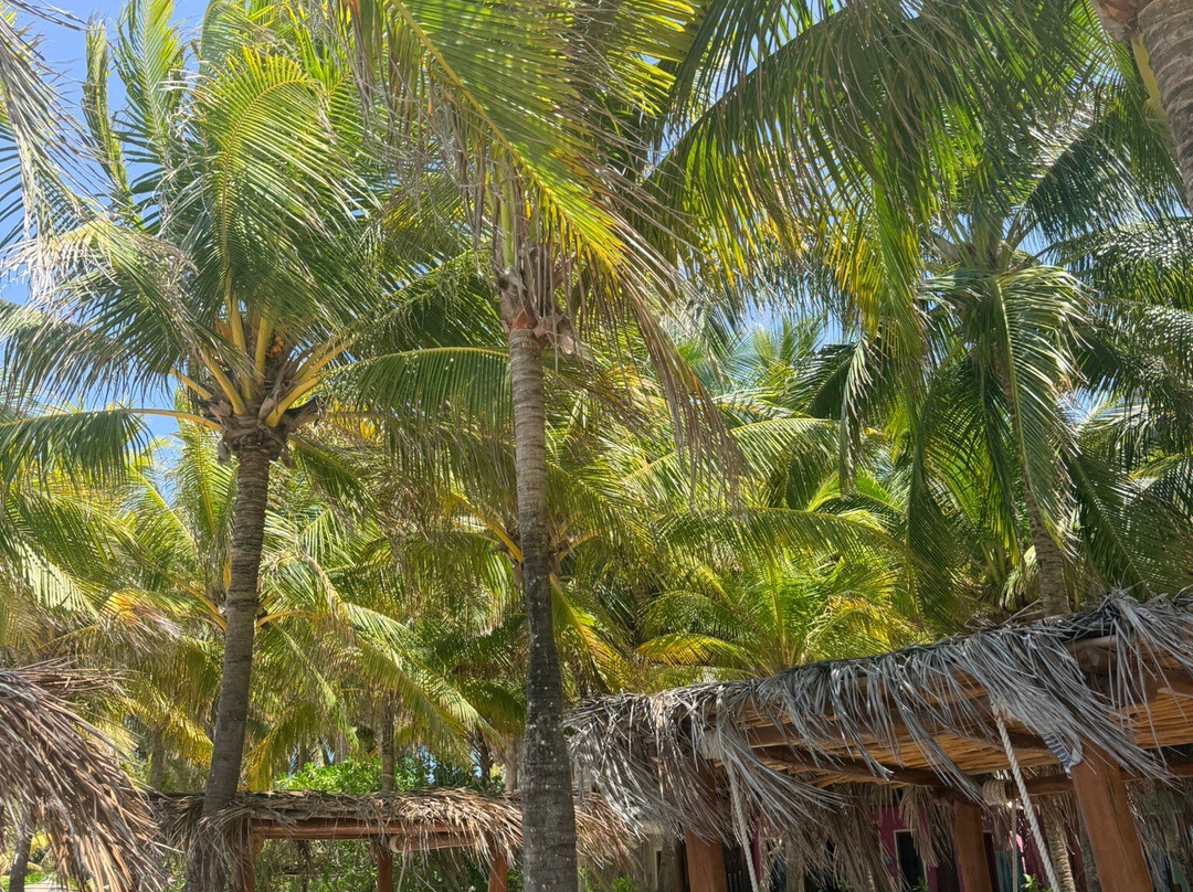 卡萨拉斯托尔图加斯珀蒂海滩酒店及水疗中心主图