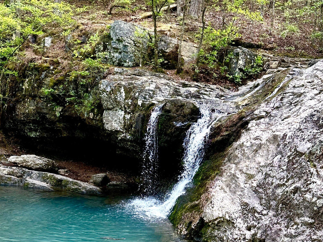 Lake Catherine State Park-温泉城必去景点