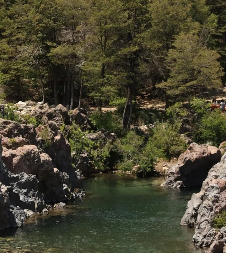 Parque Nacional Radal Siete Tazas-Molina必去景点