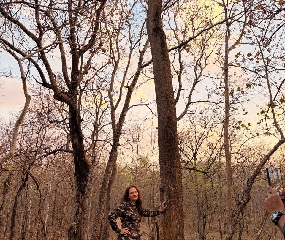 潘趣丛林营地酒店主图