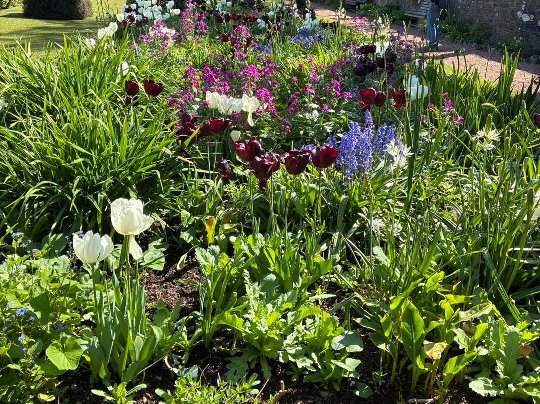 Overbecks Garden-Salcombe必去景点