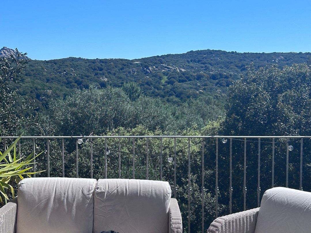 Tenute Testoni Agriturismo e B&B主图