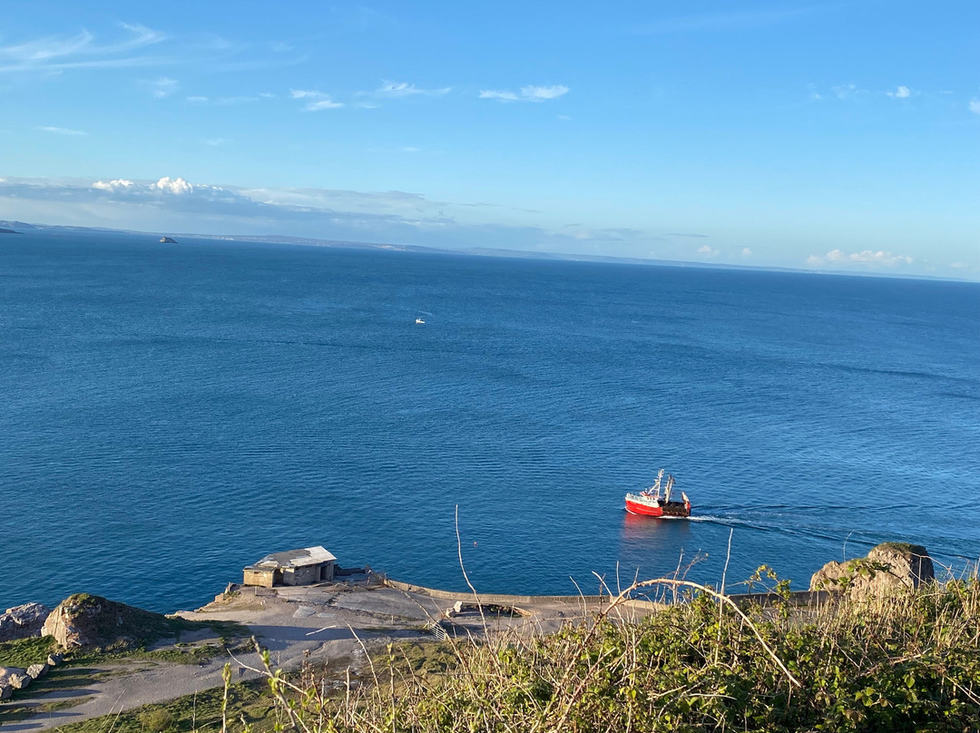 Berry Head National Nature Reserve-布里克瑟姆必去景点