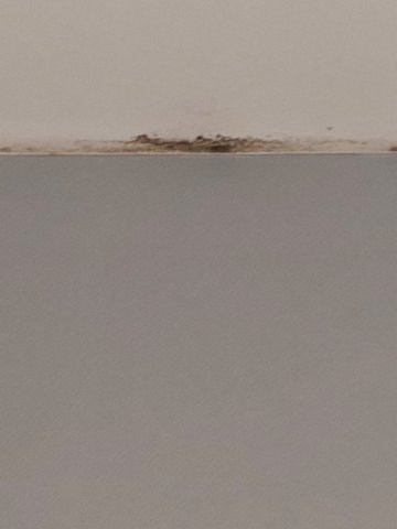 克莱伯酒店-旅行者