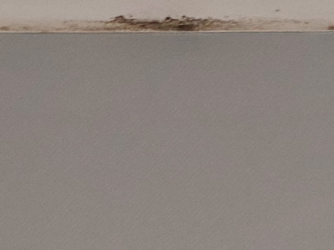 克莱伯酒店主图