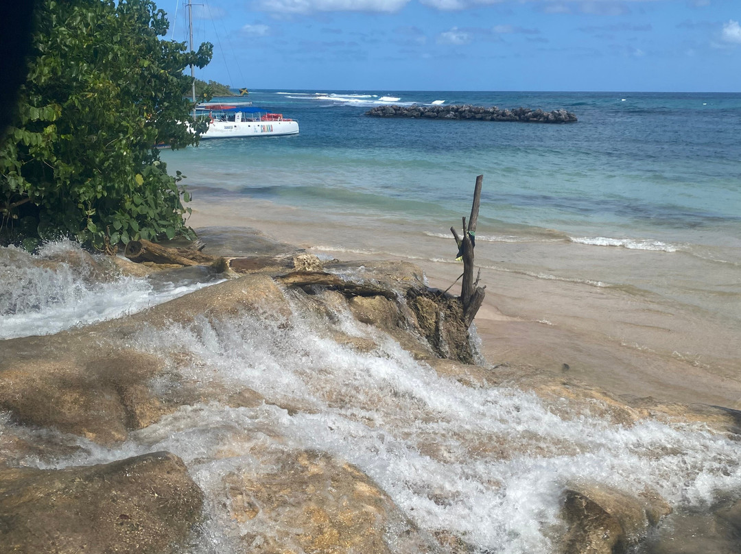 Taste the tropics tours and transportation-奥乔里奥斯必去景点