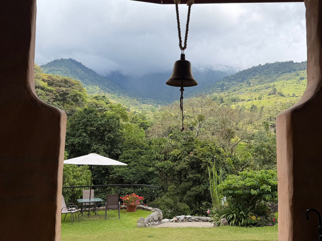 Rainforest Reef Escape-Cabo Matapalo必去景点