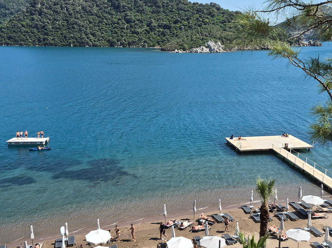 欧尔克莲海滩森蒂多酒店主图