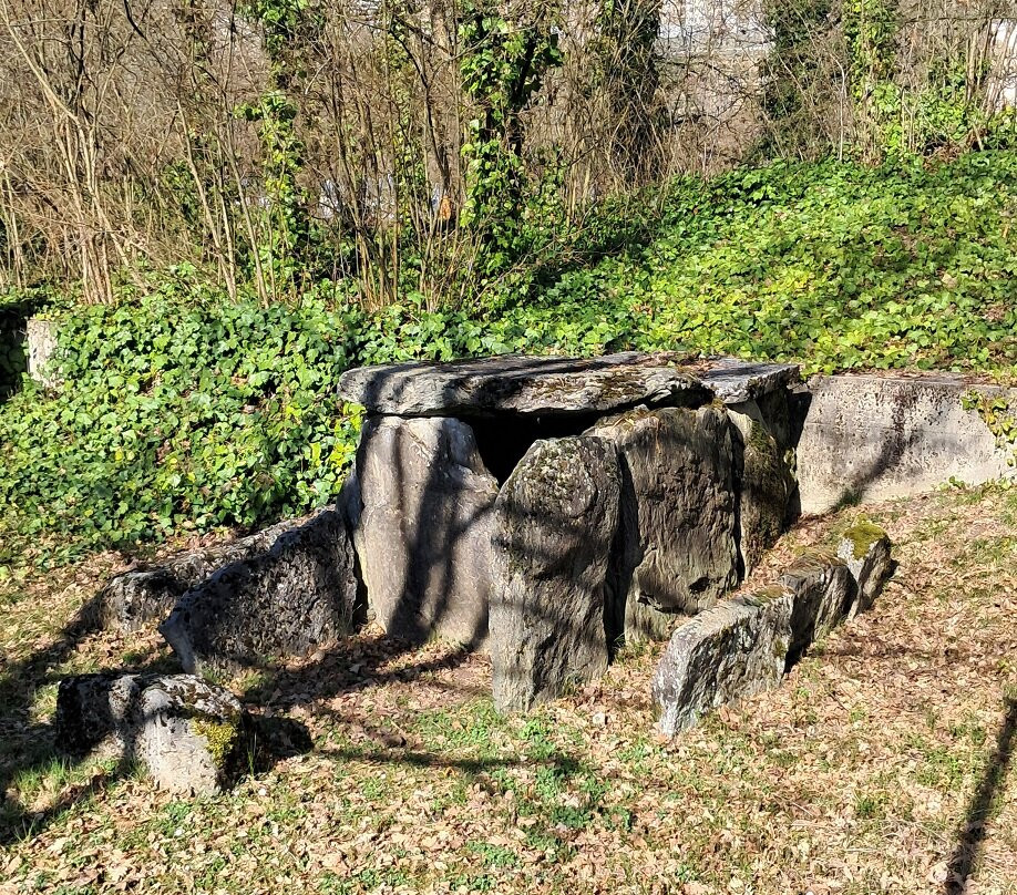 Laténium Parc et musée d'archéologie-Hauterive必去景点