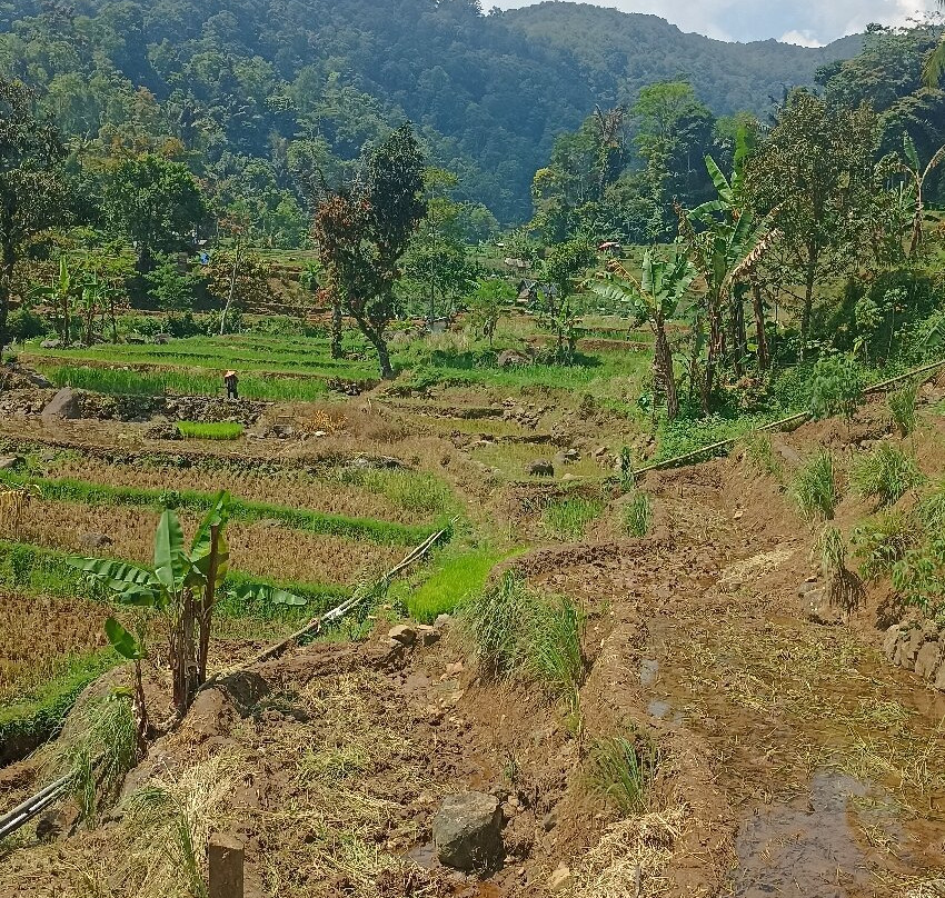 Alavia Tour-万隆必去景点