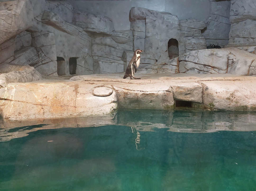Ocean Aquarium-普它肋斯必去景点