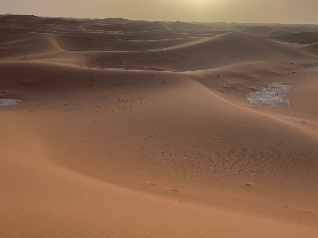 Desert Tour-扎古拉必去景点