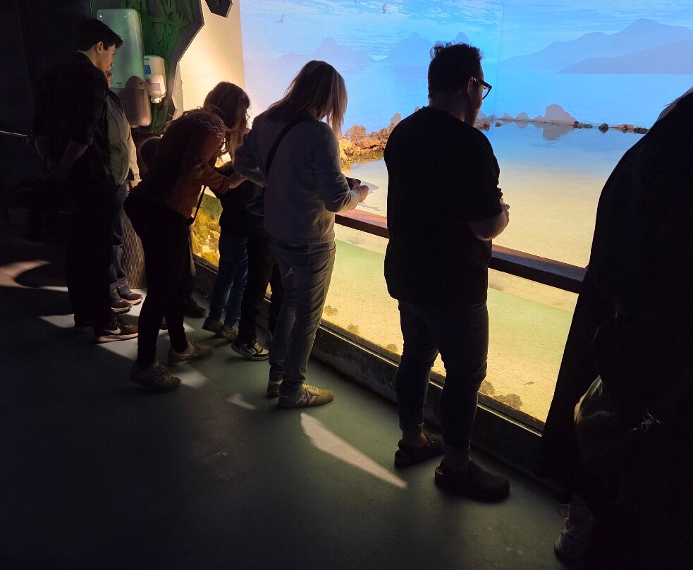 丹麦国家水族馆-哥本哈根必去景点