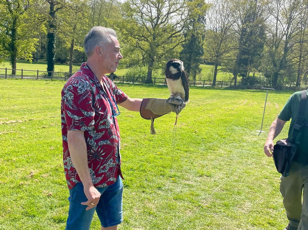 Surrey Hills Falconry-Ockley必去景点