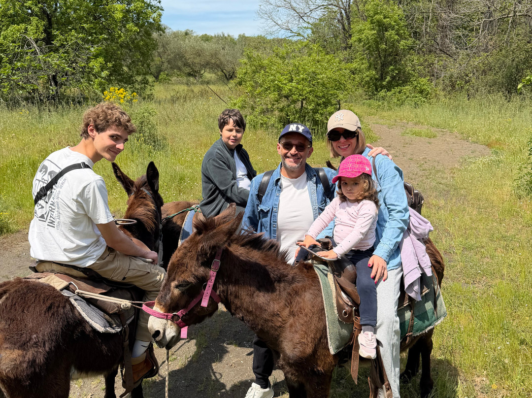 Etna Donkey Trekking-林瓜格洛萨必去景点