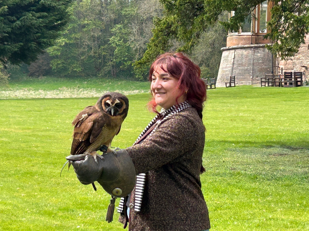 Dalhousie Castle Falconry-邦尼里格必去景点