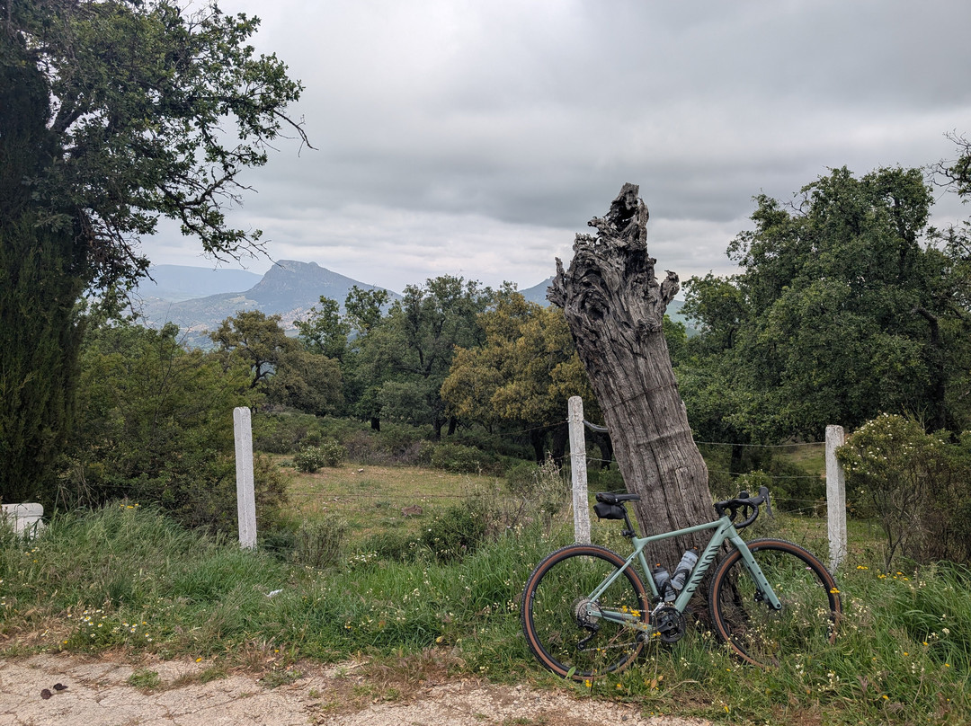 Grazalema Cycling Adventures-Grazalema必去景点
