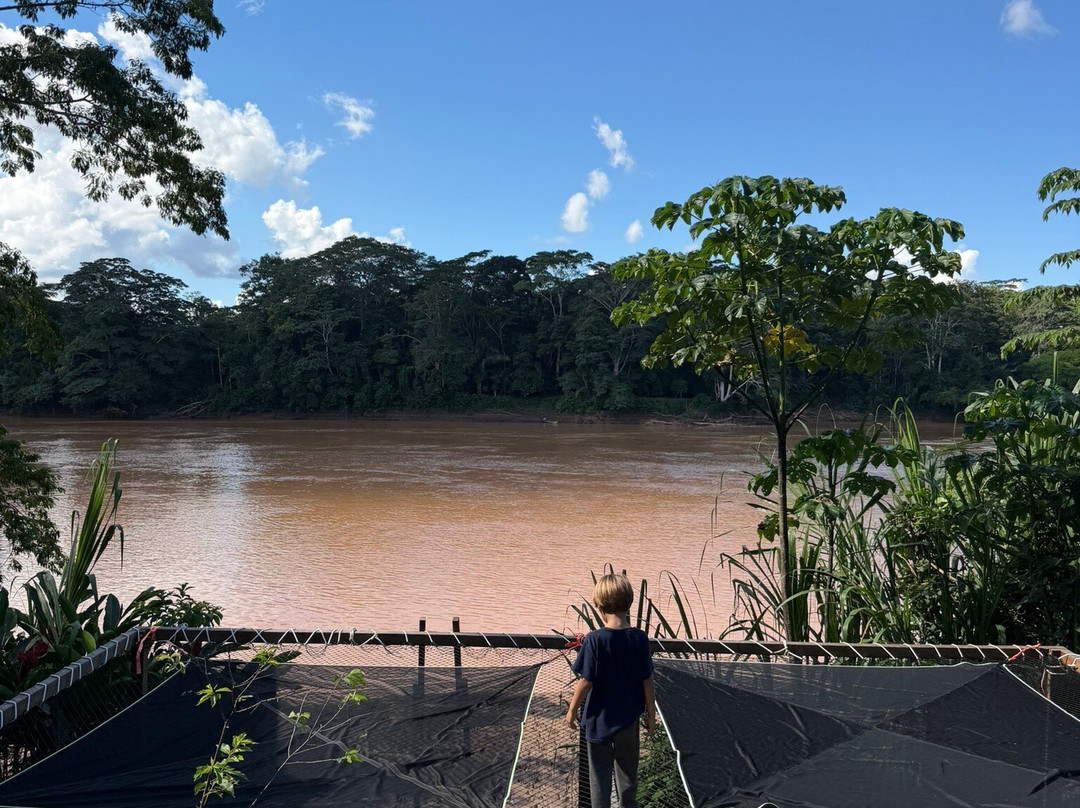 GREEN HOUSE TAMBOPATA-Filadelfia必去景点