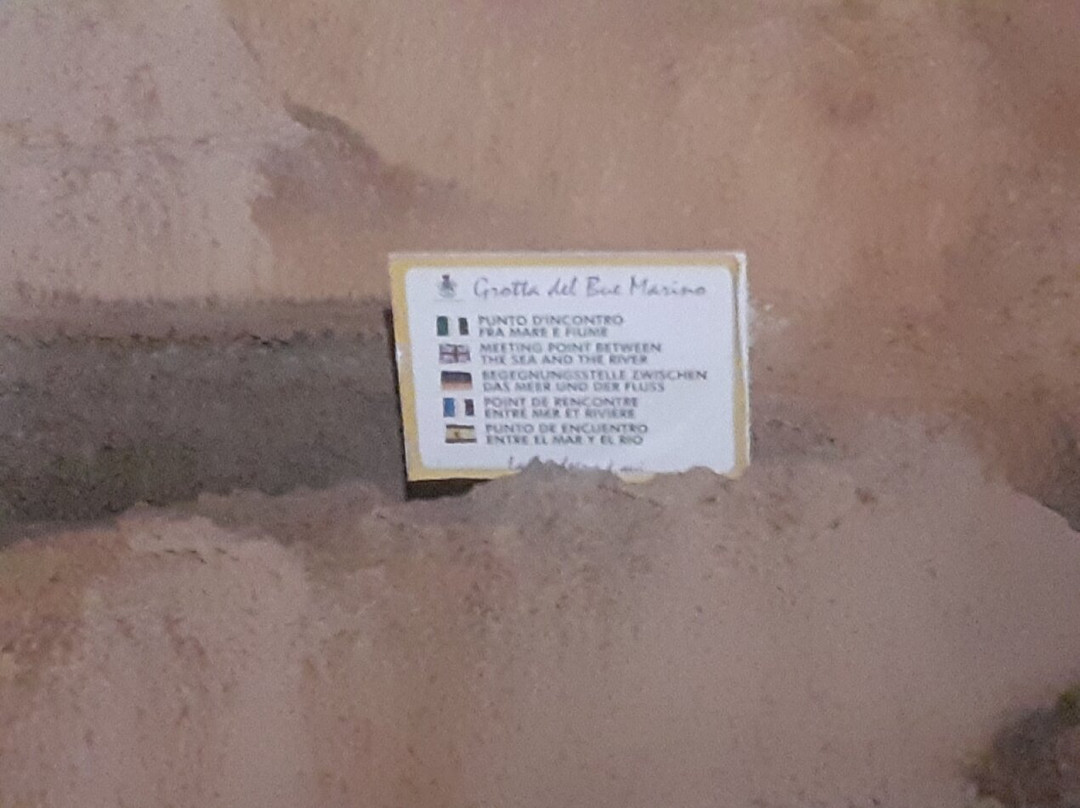 Grotta del Bue Marino-Cala Gonone必去景点