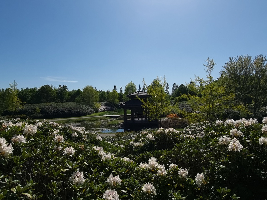 Maximapark Utrecht-Vleuten必去景点