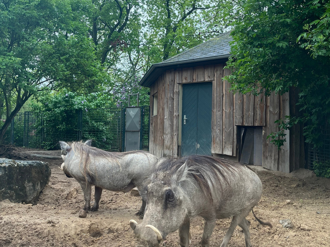 Zoologischer Garten Magdeburg-马格德堡必去景点