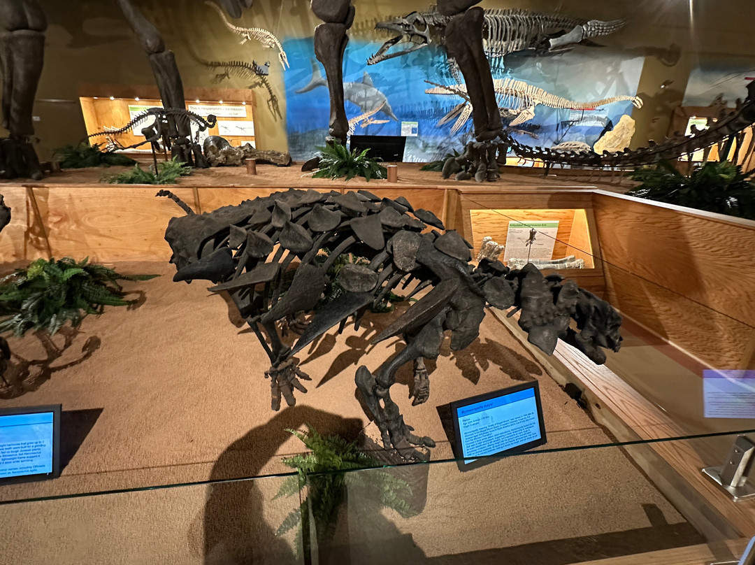 Wyoming Dinosaur Center-瑟莫波利斯必去景点