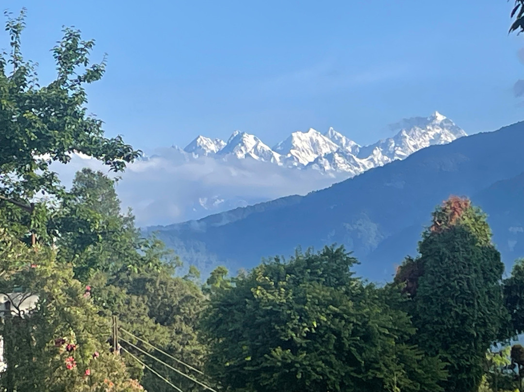 Temi Tea Garden-Temi必去景点