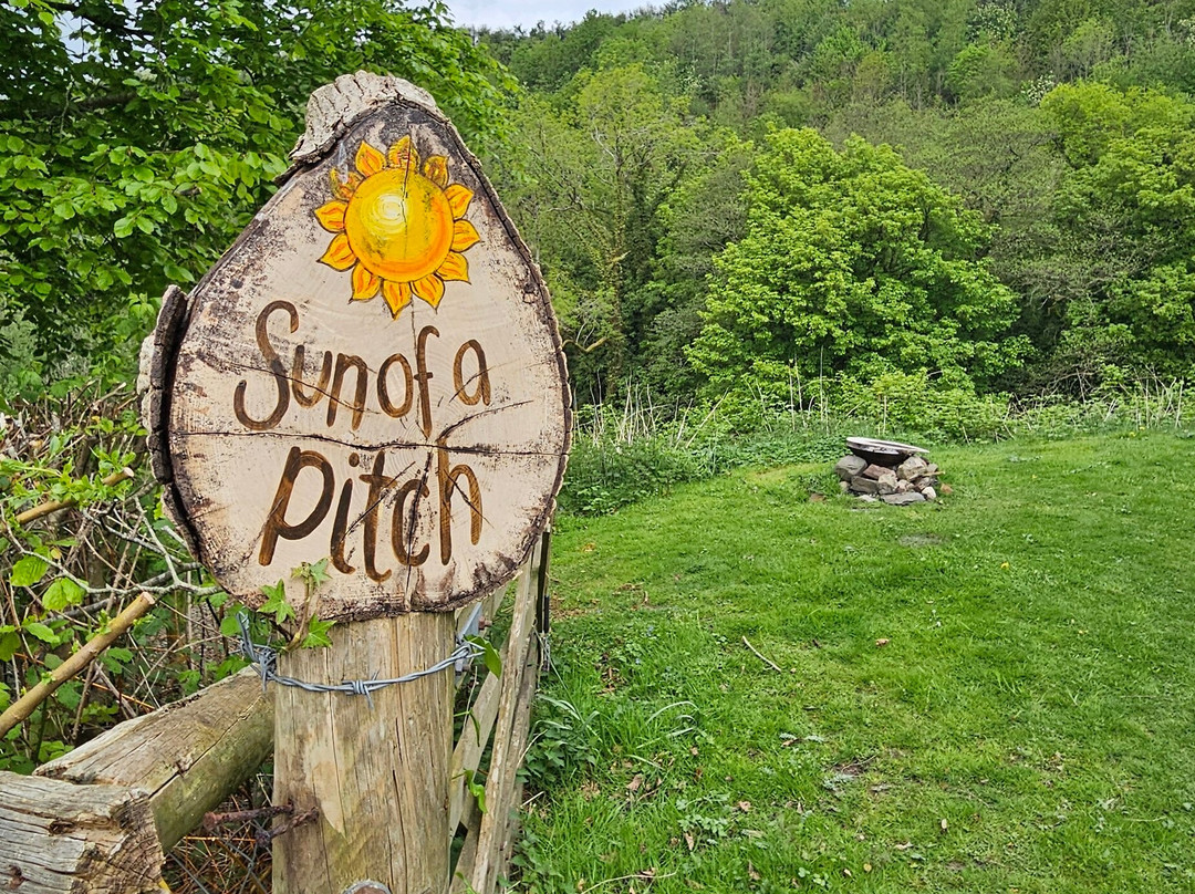 Nantgwynfaen Organic Farm Wales主图