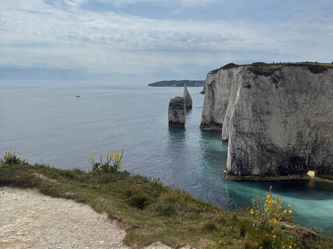 Old Harry Rocks-斯沃尼奇必去景点