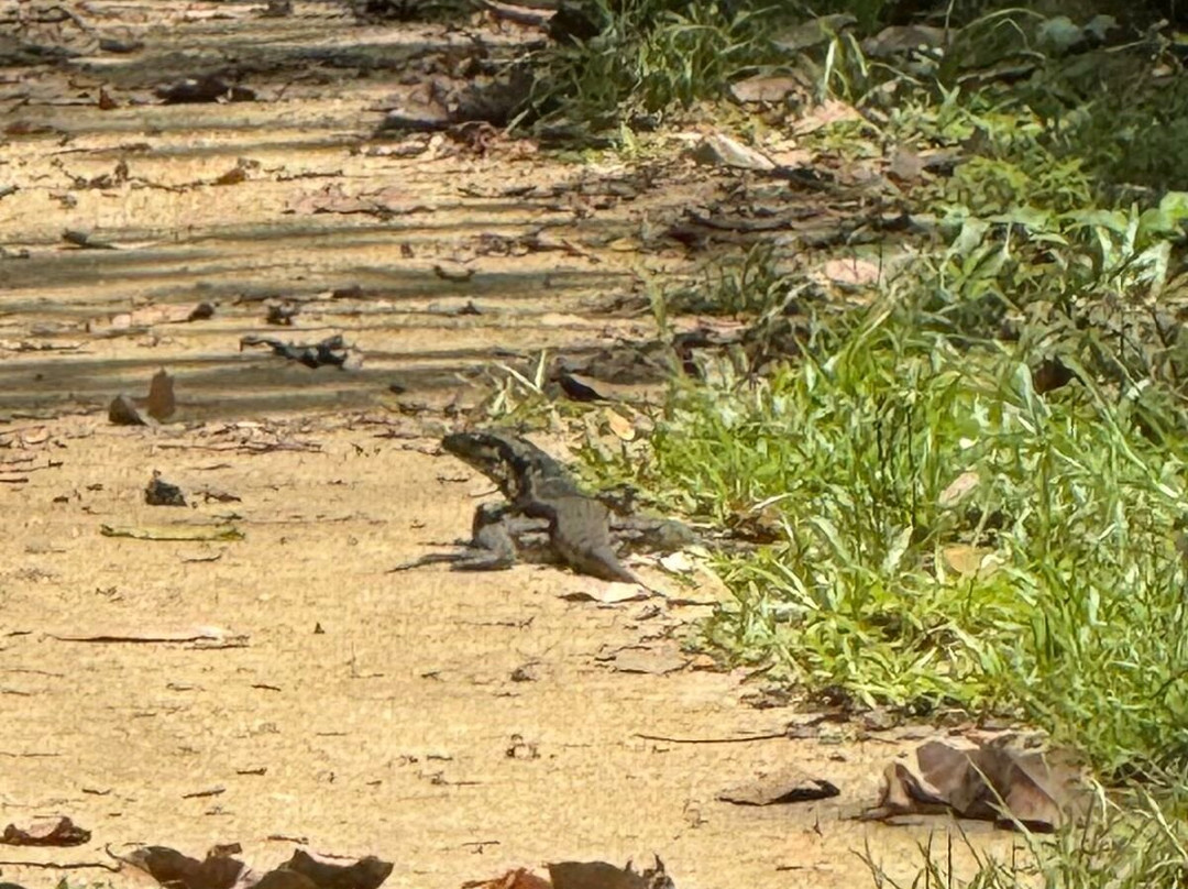 Peperpot Nature Park-Meerzorg必去景点