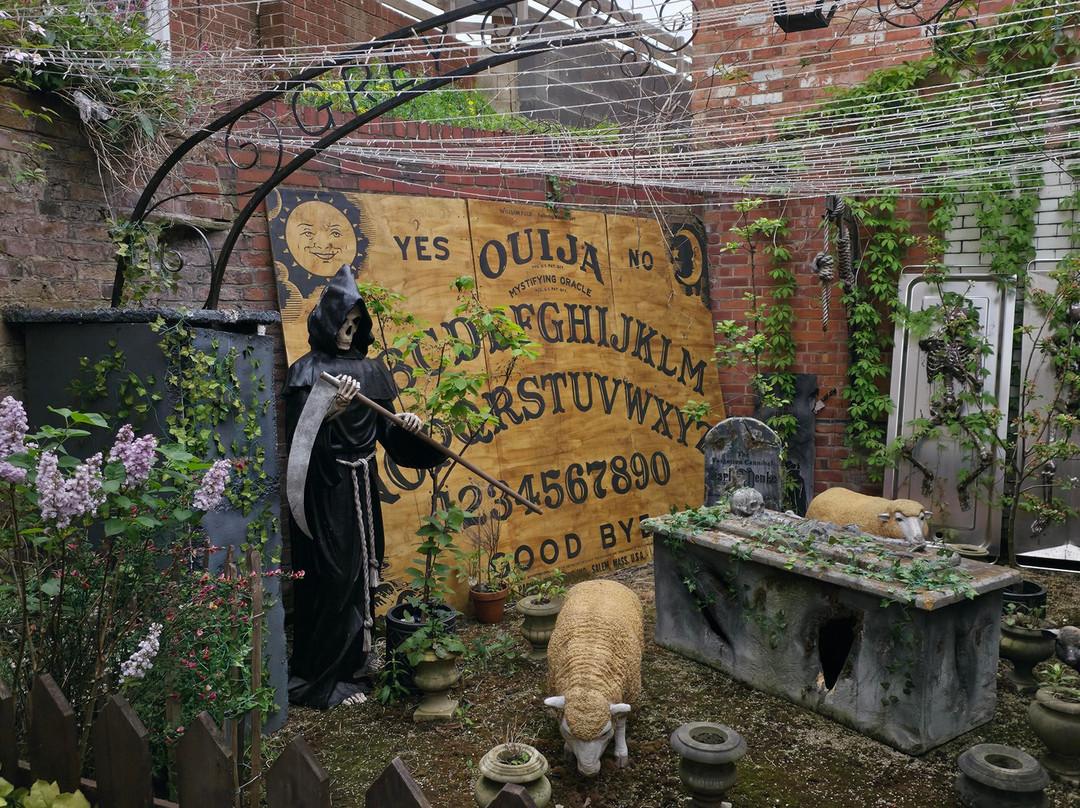 The Museum Of Curiosities-诺丁汉必去景点