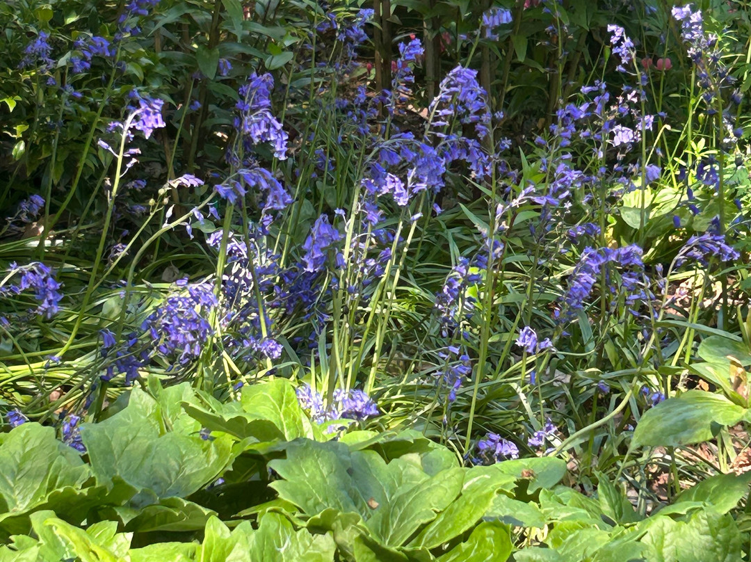 Green Island Gardens-Ardleigh必去景点