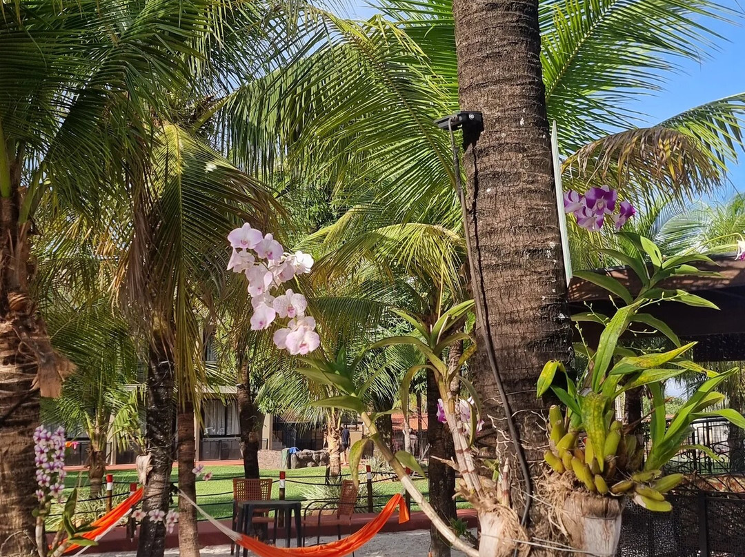 Carpe Diem Eco Resort 奥林匹亚主图