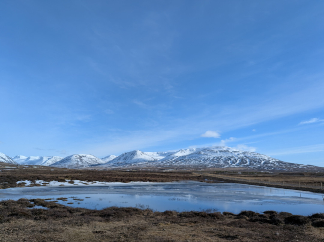 Yogihorse Iceland-Hofsos必去景点