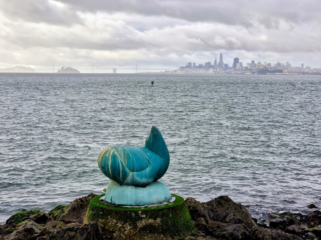 Sausalito Boardwalk-索萨利托必去景点