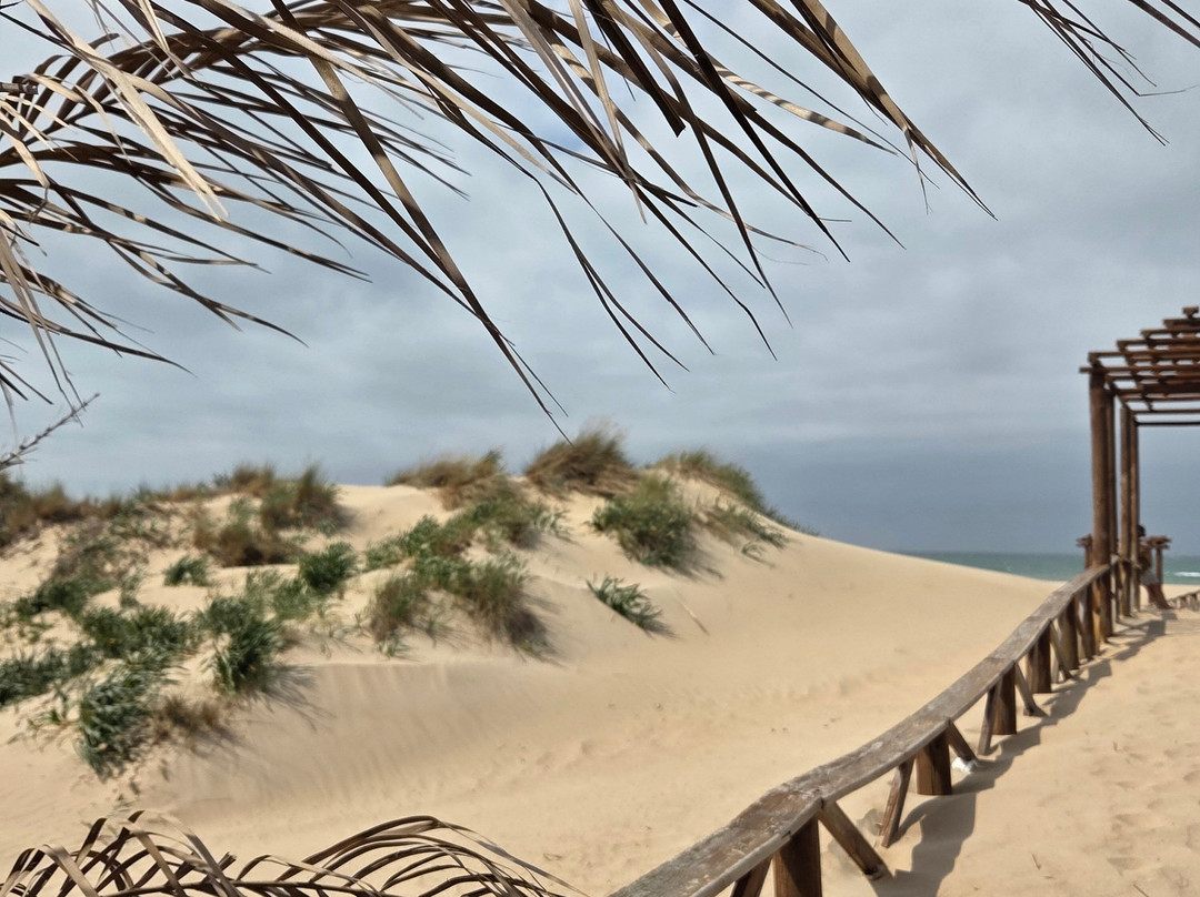 Playa De Camposoto-圣费尔南多必去景点