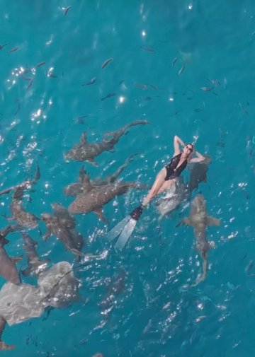 Hudhuvelimaldives-旅行者