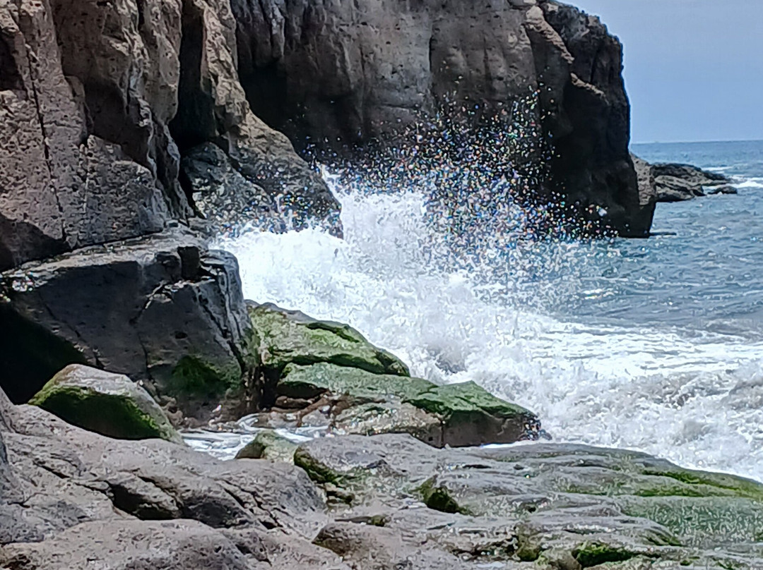 Playa Taurito-陶里托必去景点
