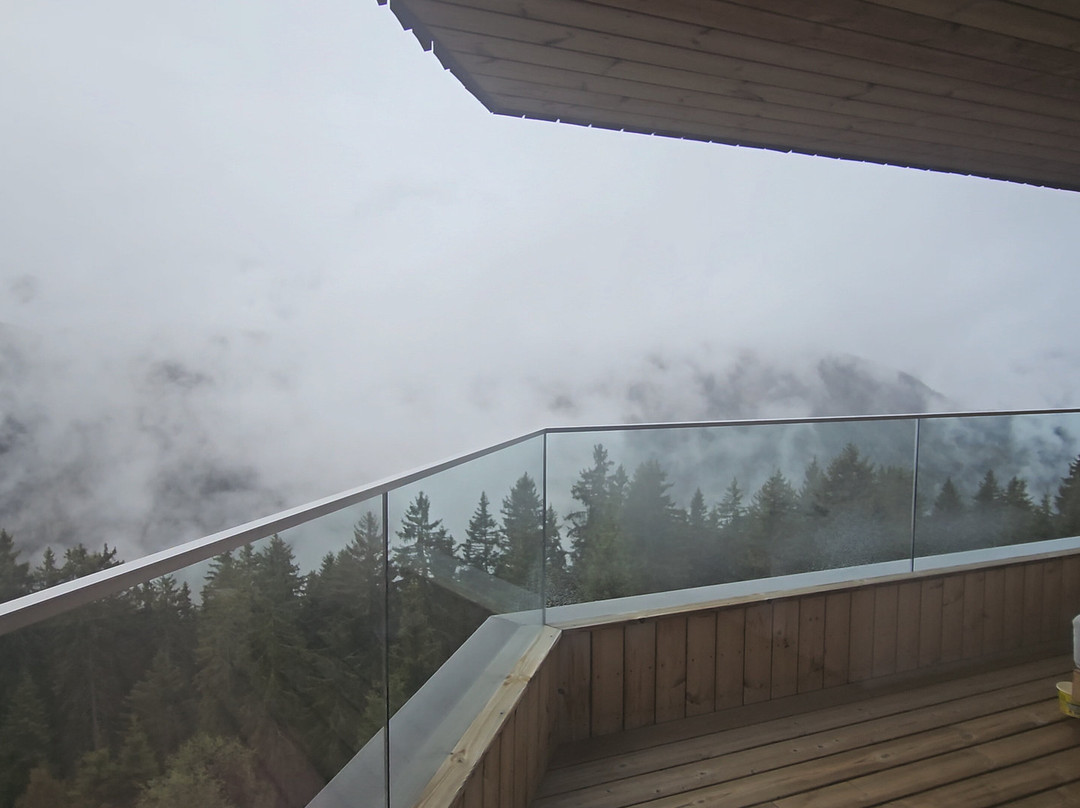 福雷斯蒂斯酒店Forestis Dolomites（意大利）主图