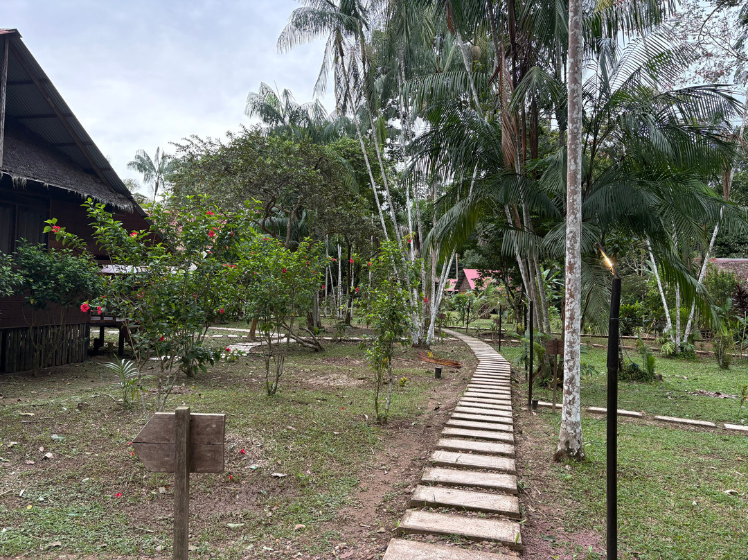 Wasai Tambopata Lodge主图