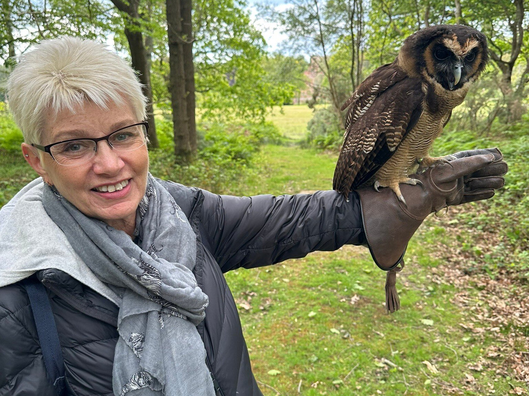 East Sussex Falconry-Herstmonceux必去景点