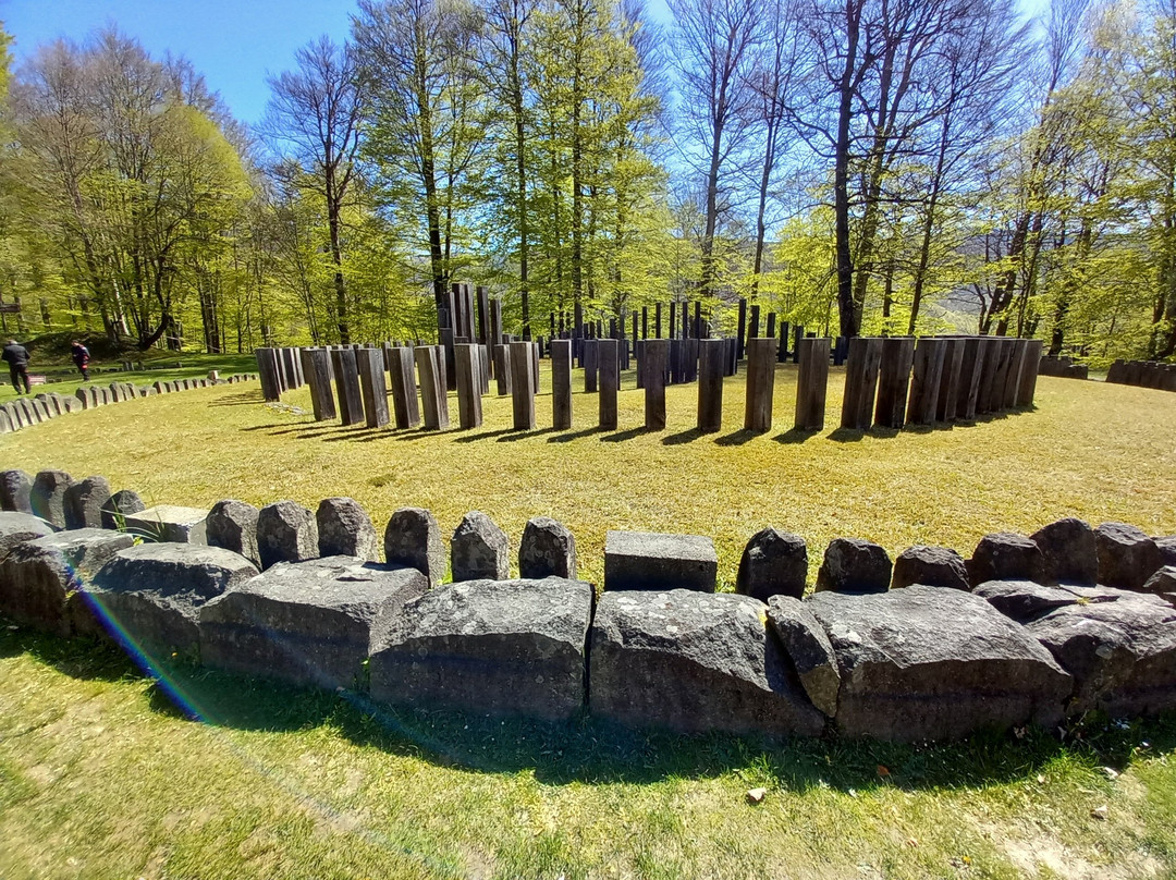 Sarmizegetusa Regia-Hunedoara County必去景点